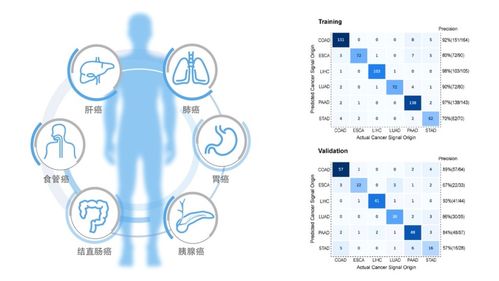 七、 煞气是什么？能吃吗？