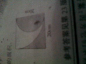 阴影缠身
