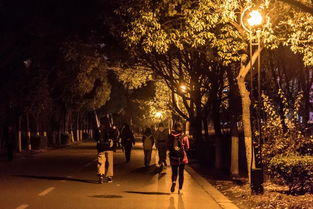 住宿推荐：让夜晚也充满温柔光芒
