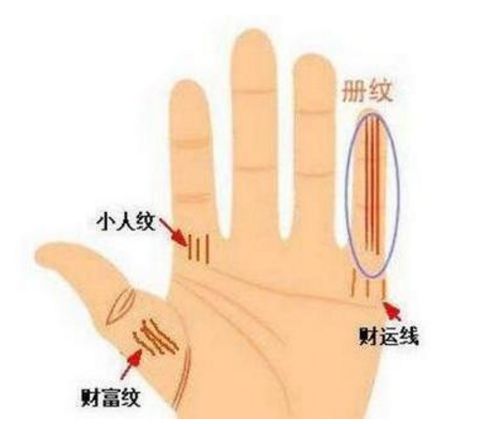 属兔 的姊妹注意!你们手上这条「隐形线」,可能藏着妇科病隐患