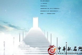 为哪些公司起名如此十分沉关键？