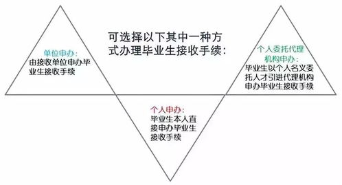 大脑壳的亮点：八面玲珑的地理位置 (真的玲珑吗?)