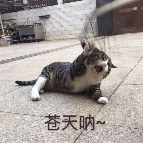 微信文艺风昵称：别问我为什么 反正我就是喜欢