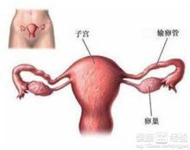 如何调整八字避免不易怀孕和易患血液病的风险？
