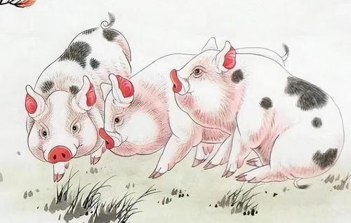 鼠鼠人：机灵鬼的翻身年