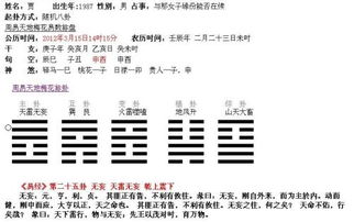 5656吉凶数字排卦书如何解读？
