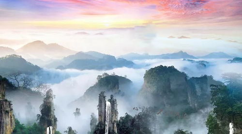 九华较大荫山：探寻古韵之旅的最佳目的地