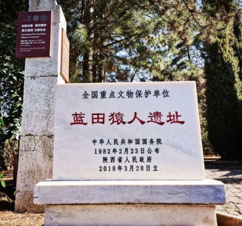 1. 蓝田猿人遗址：