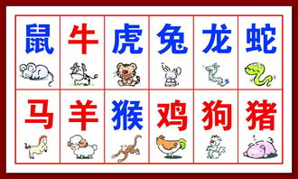 十二生肖的安床宜忌