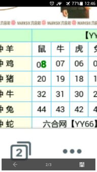 愚不可及是哪个生肖？