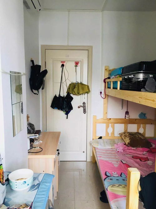 宿舍风水乱七八糟的调理指南