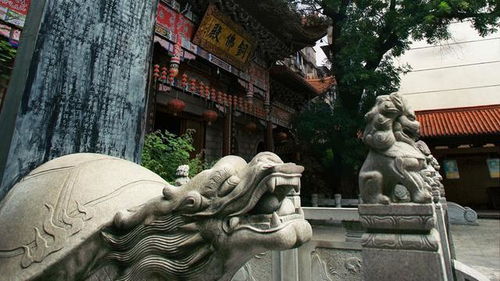 第二章：神秘墓葬争议——庐江与舒城之谜
