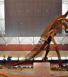 争议不断！商业化vs原生态的拉锯战