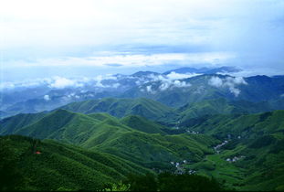 钱钱钱！就知道要钱！