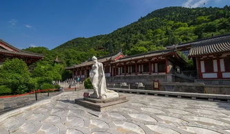 探寻源头：不仅仅是看水， 更是看命