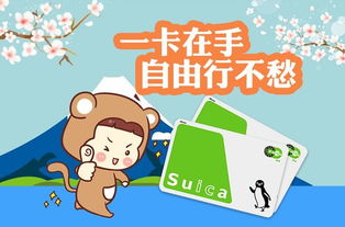救命！这卡到底是何方妖孽？