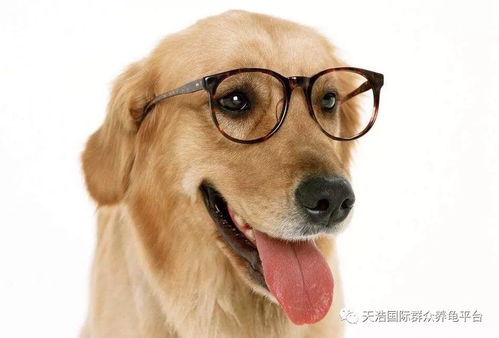 风水局中的煞气