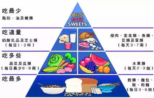 日常饮食的平衡之道
