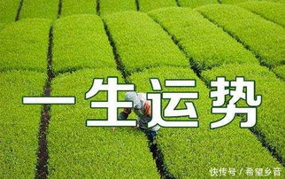 十二生肖如何对应事业顺利，事业顺成打一生肖是什么生肖？