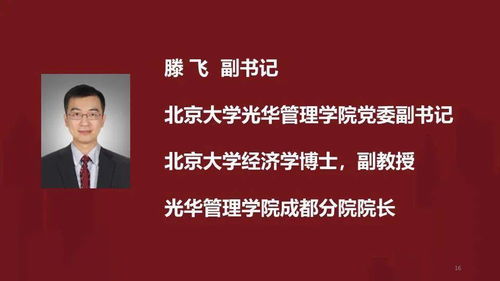 谁是典型的华盖局人士？他们有什么特点？