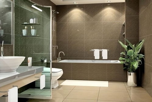 庭院与浴室的风水联结：自然的和谐之美