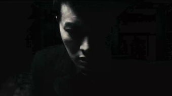一、 阴阳交错的生肖暗号