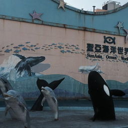 历史的迷雾与名字的纠葛