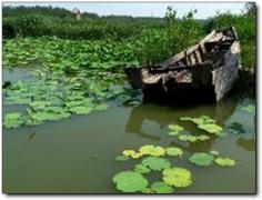 减河湿地公园沙滩（沙滩+湿地混合体）