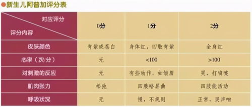 3.1 洋快餐式起名VS中式传统:到底哪个香?