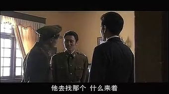 夜狸猫窥视