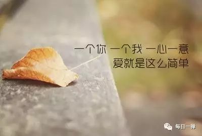 双鱼座的琼瑶剧人生