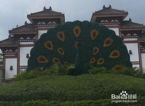 1. 怎么上去？电梯还是爬楼梯？