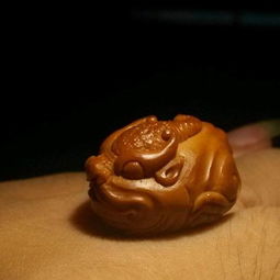 属鼠的人：小心被吃！