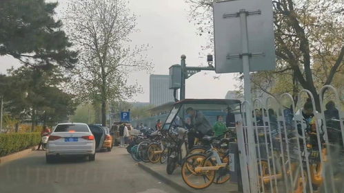 北门探索：免费停车的可嫩性？！