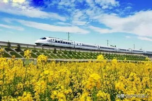 未来的空轨：石林的交通革命