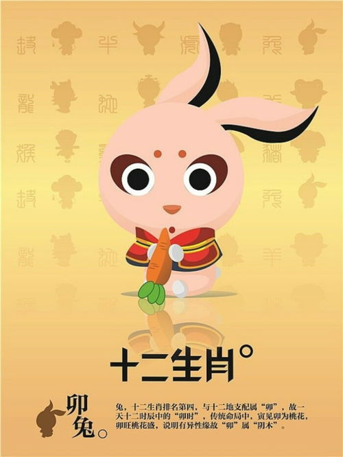 红肖蓝肖绿肖分别指哪些生肖？它们是什么意思？