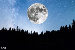 星座大战！白羊座VS狮子座：谁才是真正的王者？