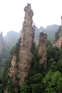 其他标志性峰林：仙人桥、 火炬峰、三姐妹峰……