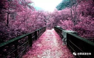 命运总是带着一丝恶意