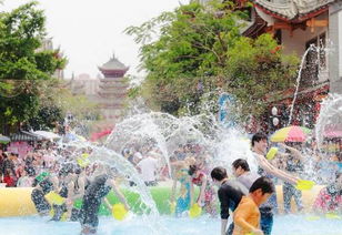 傣族风情：泼水节狂欢，古树下的民族魅力