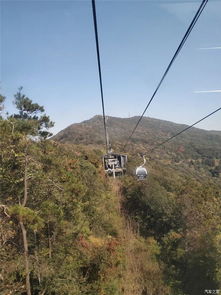 如何到达南阳老界岭景区？