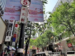 2）周边环境与设施简陋
