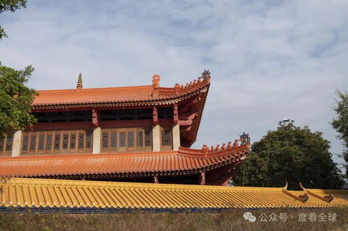 一场莫名其妙的出发