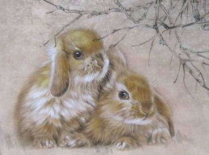 属兔的女生性格与属狗的人相处时，最忌讳的相处问题是什么？