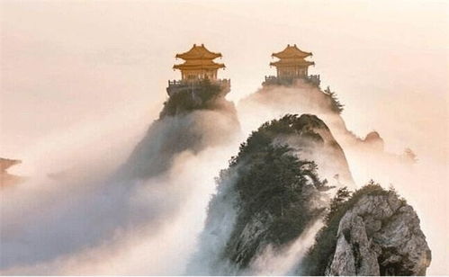 情感爆炸区——我的心情如同翻滚的岩浆！