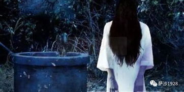 午夜森林中的诡异传说