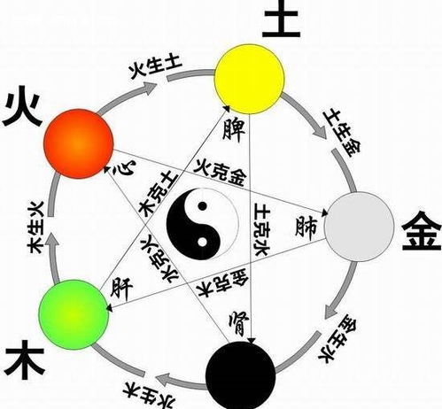 阴阳五行中的意义