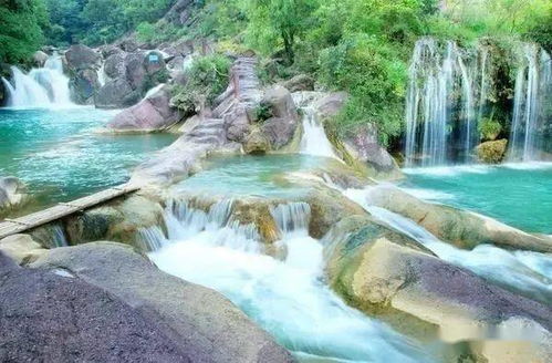 2026年最新交通：比过山车还刺激的死亡路线