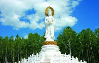 黄金时间玩到吐