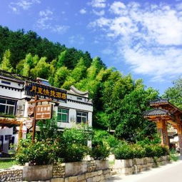 一行8人，大家都玩的很嗨~是真的吗？